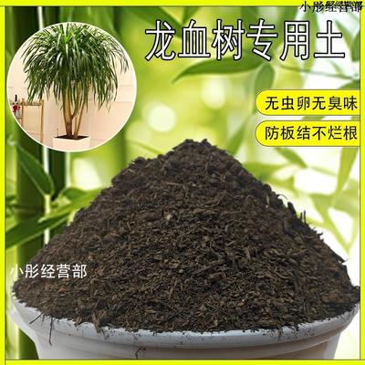 龙须树专用土龙血树营养土盆栽土养花通用种花土壤种植土有机肥料