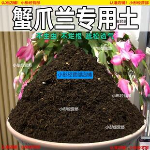 蟹爪兰专用土盆栽酸性土园艺家用营养土壤种植土通用土有机土肥料
