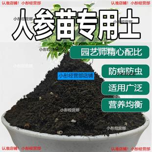 人参苗专用土人参苗土种植土壤营养土盆栽种花泥土透气通用养花土