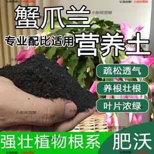 蟹爪兰专用土盆栽酸性土园艺家用营养土壤种植土通用土有机土肥料