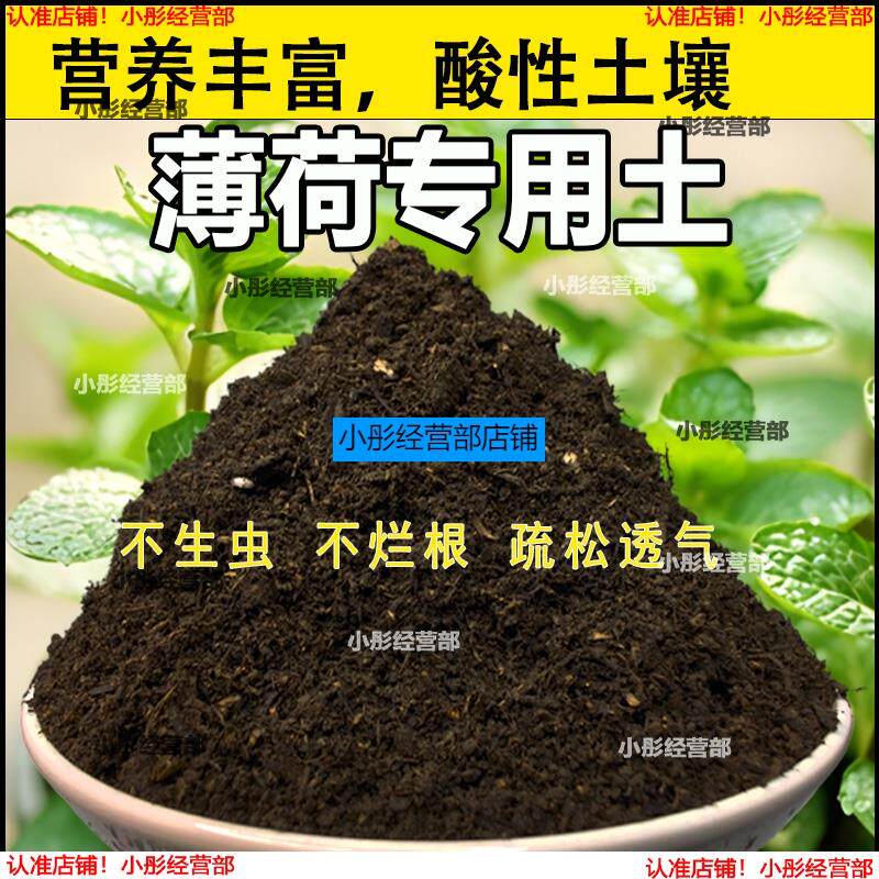 薄荷专用土薄荷土盆栽种植土养花营养土通用种花土壤绿植有机肥料