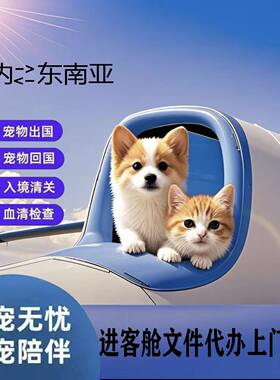 东南亚国家宠物托运出国手续猫狗回国泰国柬埔寨新加坡马来西亚