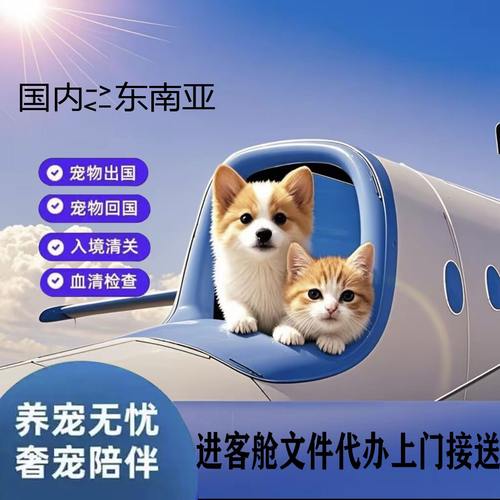 东南亚国家宠物托运出国手续猫狗回国泰国柬埔寨新加坡马来西亚