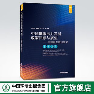 官方旗舰店 中国电力减排研究2020 中国低碳电力发展政策回顾与展望 9787511147288 中国环境出版 集团