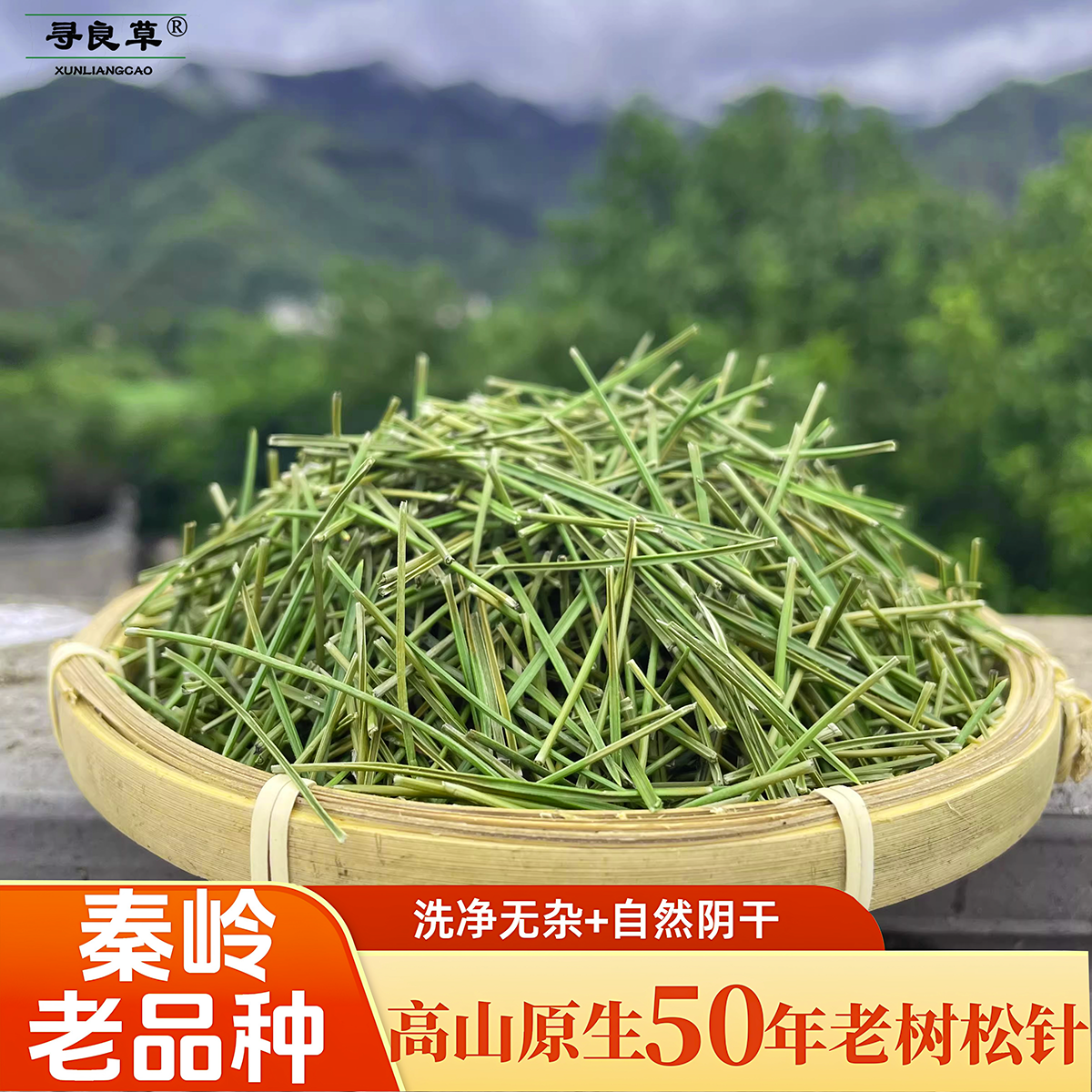 秦岭50年老树松针马尾松250克高山老品种原生洗净阴干泡茶代磨粉