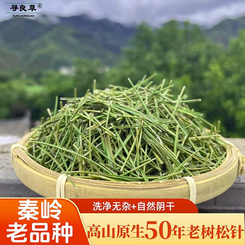 秦岭老树松针干松针250g