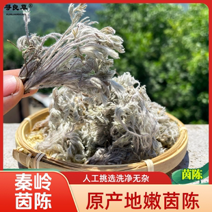 秦岭白蒿茵陈新货整颗100克正月绵茵陈原产地自然生长泡水喝干净