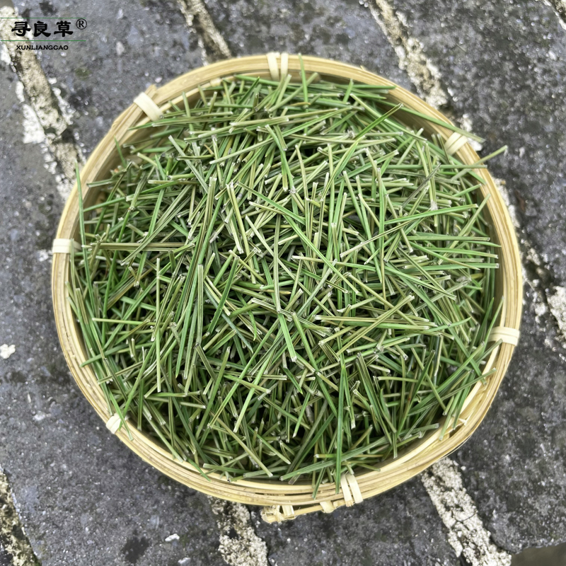 新鲜松针高山野生全松茶油松白松马尾松250g克养生茶可磨粉