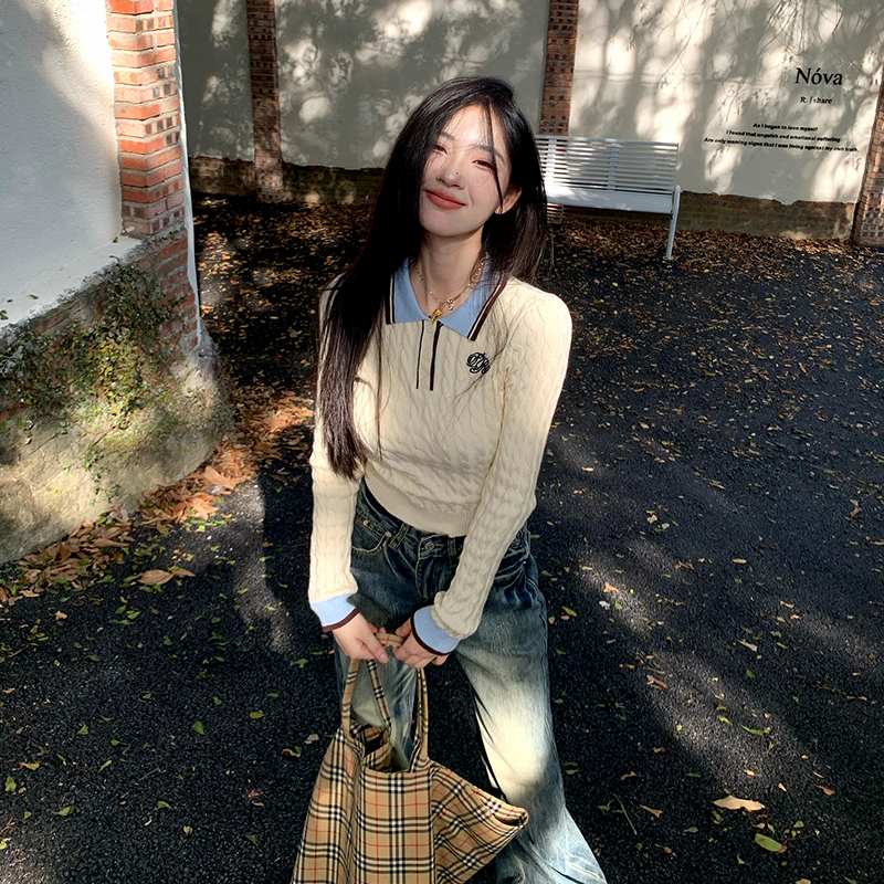 橘子树在哪儿撞色Polo刺绣针织衫