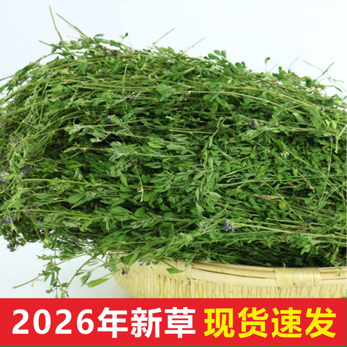 26年紫花苜蓿草1KG豚鼠荷兰猪龙猫兔子牧草饲料幼兔粮干草兔干草
