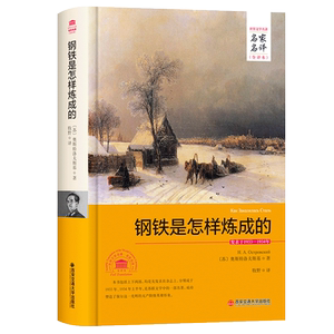 正版  钢铁是怎样炼成的  名家名译全译本全新正版