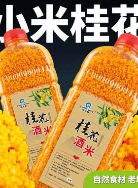 纯小米渔千秋桂花酒米野钓鲫鱼
