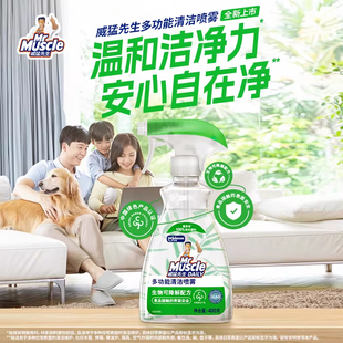 【李维嘉】威猛先生多功能台面清洁喷雾