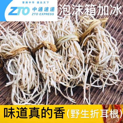 贵州新鲜鱼腥草折耳根现挖5斤