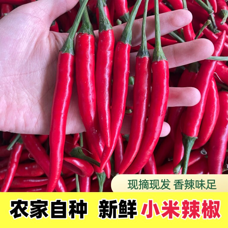小米辣椒新鲜红辣椒指朝天椒新鲜红尖椒薄皮椒农家自种山椒七彩椒