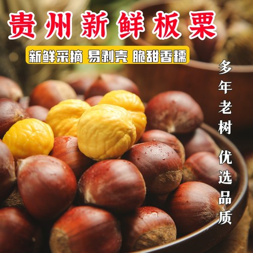贵州老树野外生长新鲜生板栗中大果粒脆甜毛栗子油栗5斤带壳整箱