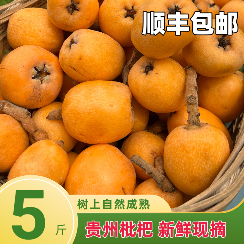 贵州高原当季新鲜孕妇甜水果枇杷鲜果10斤农家种植自然成熟琵琶果