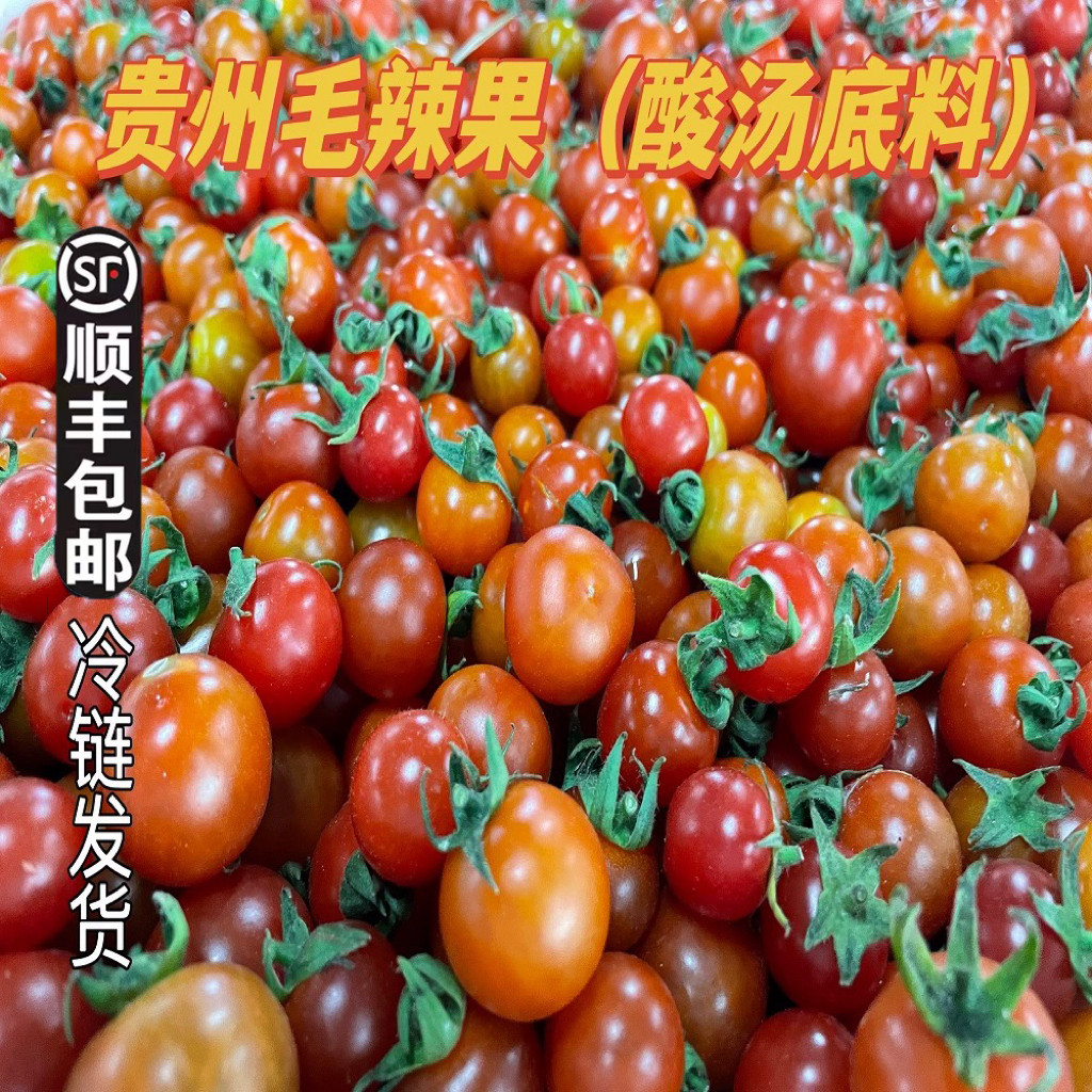 贵州农家新鲜小西红柿水果小番茄番茄