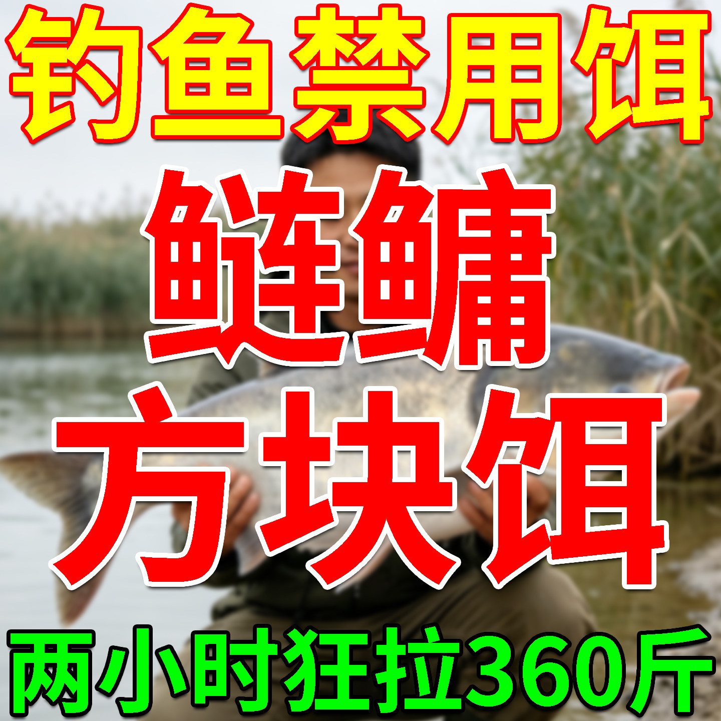 钓鲢鳙方块饵料通杀花鲢白鲢大头鱼野钓新型爆护春夏四季钓