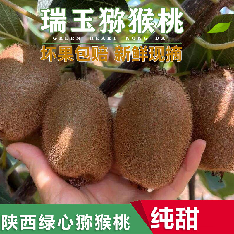 陕西绿心猕猴桃新品瑞玉猕猴桃纯甜多汁奇异果5斤整箱孕妇水果