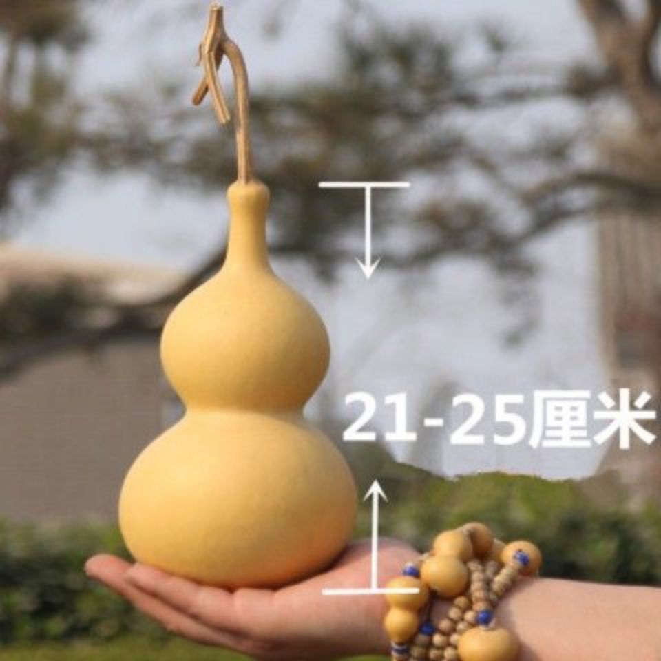 天然葫芦特大中号客厅装饰摆件文葫芦