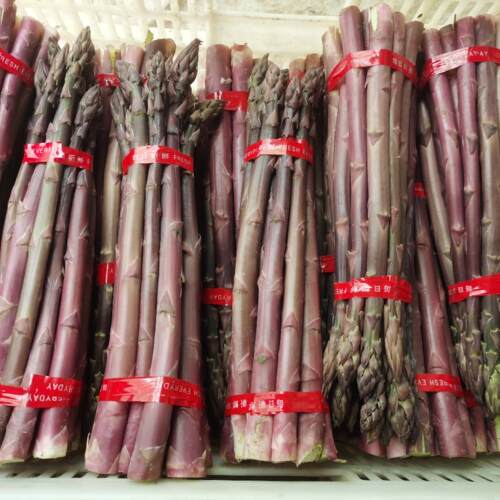 曹县特产紫色水果芦笋甜笋每天现采现发西餐特色食材大笋基地直发