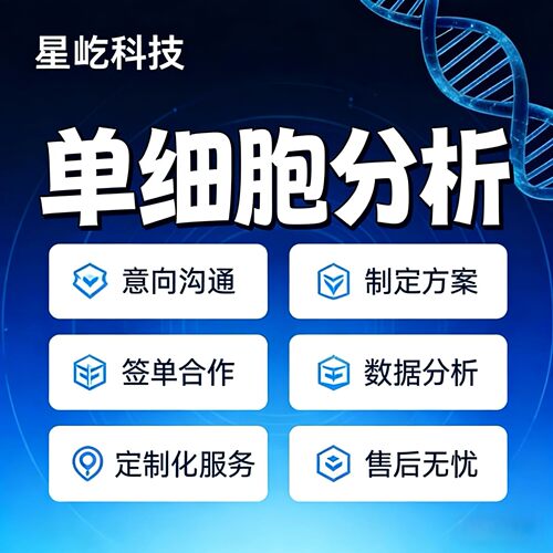 Materials Studio 零基础实例教程 分子吸附计算 DFT计算实操课程