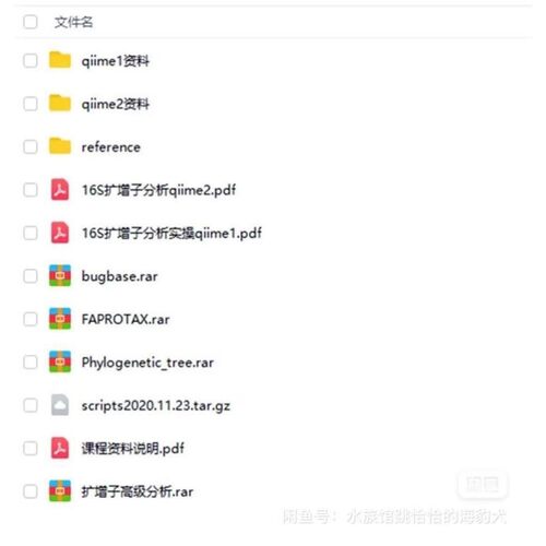 扩增子16s宏基因组测序数据分析微生物多样性测序基因组 视频资料