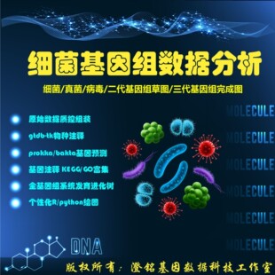 小分子与蛋白分子对接服务,精准评估药物结合位点与亲和力