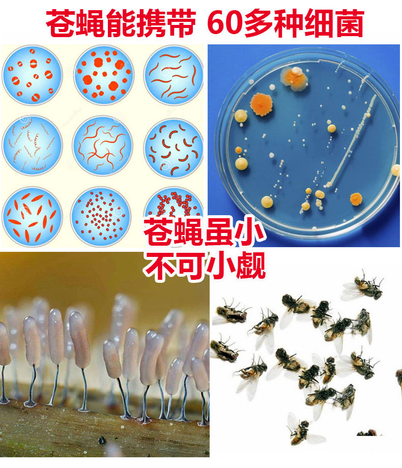 ELECTRIC TRAPPING ARTIFACTS BAIT MATERIALS NON-TOXIC HOUSEHOLD BAIT 3 PACKS FLIES TRAPS BAIT ATTRACTS FLY BAIT