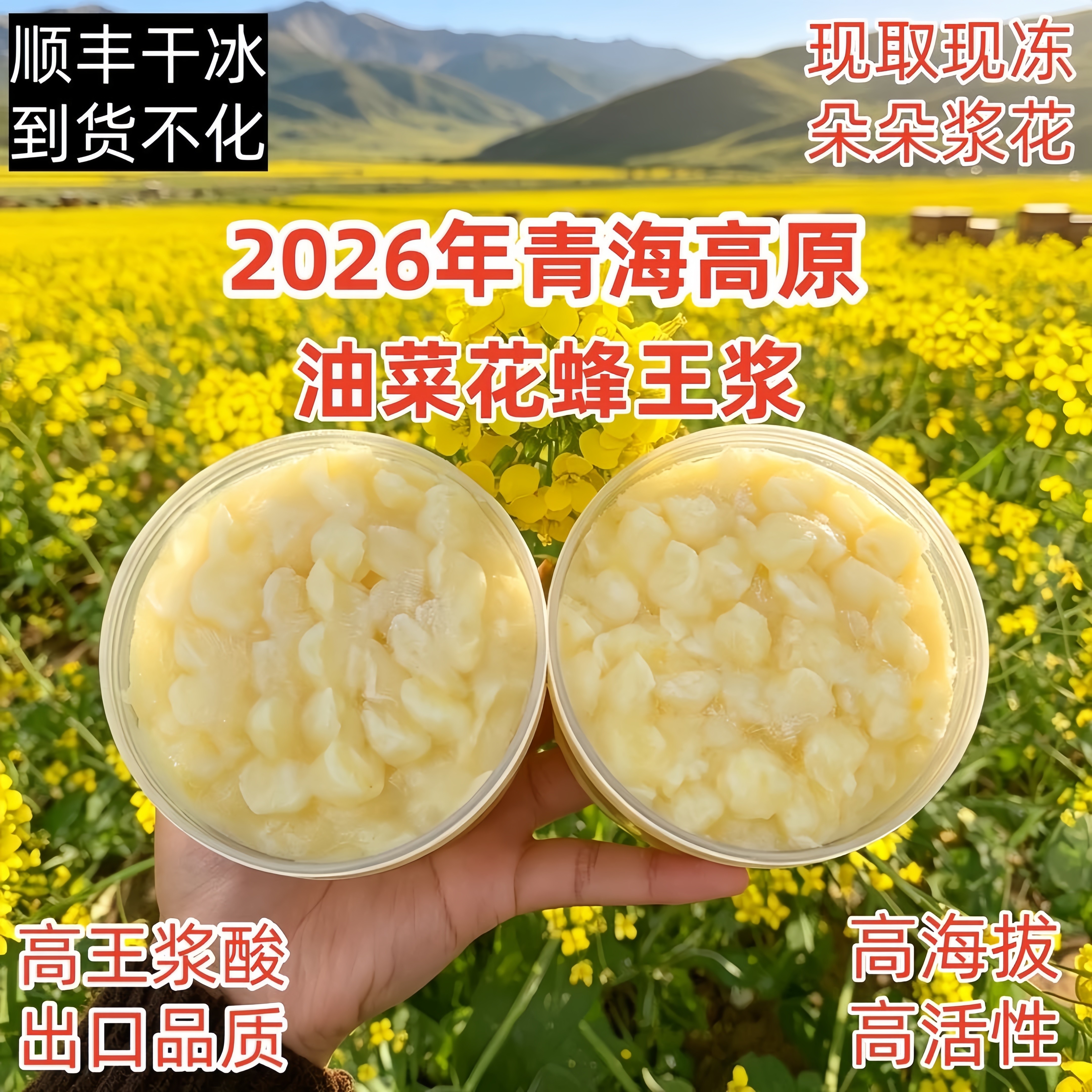 新鲜青海高原500克包邮蜂王浆