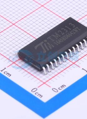 音频接口芯片 TM2313 SOIC-28-300mil 原装正品 电子元器件配单