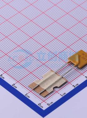 自恢复保险丝 RGEF600-2 插件 16V 6A 原装正品 电子元器件配单