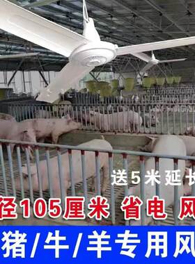 降温养猪专用吊扇华予