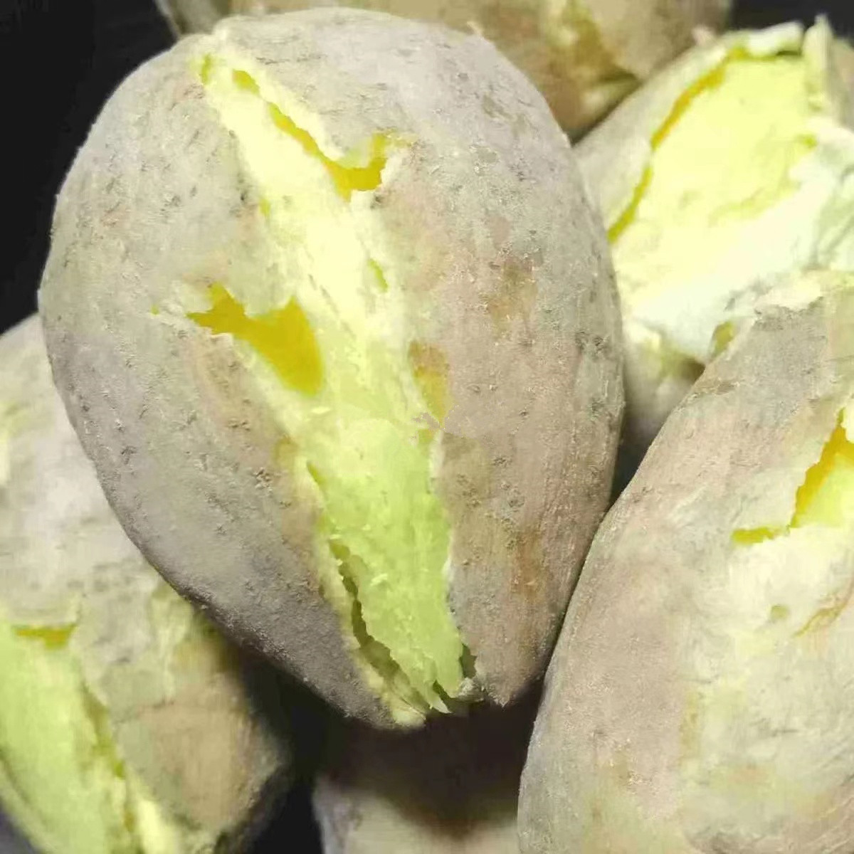 广东潮汕农家自种鸡蛋薯地瓜白皮黄心板栗红薯潮州新鲜白薯,水产肉类/新鲜蔬果/熟食,番薯,淘宝优惠券,粉丝福利购,淘宝优惠卷