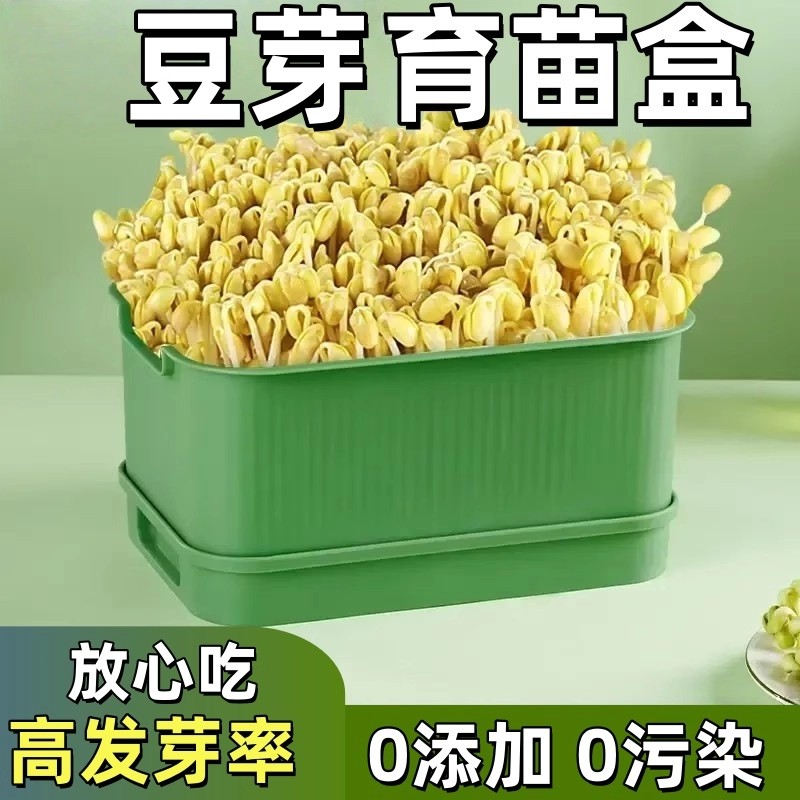 四季吃新鲜豆芽全自动豆芽发芽神器食品级大号水培育苗托盘专用盆