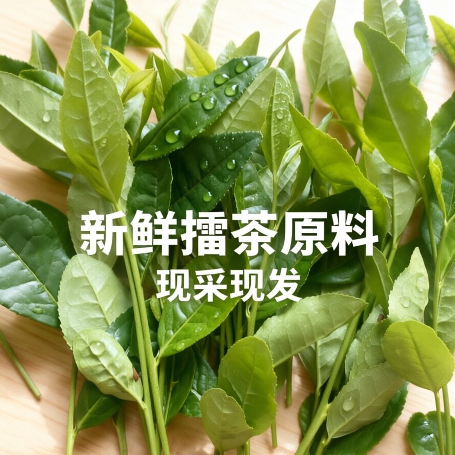 新鲜茶叶带枝条打擂茶油茶专用客家湘赣生茶未加工2026新鲜采摘