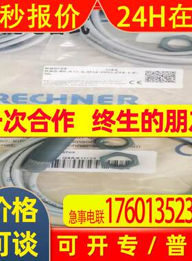 瑞奇能电容式KS-801-26/136-S-G1/2-PEEK/VAb-120C-IOL-Y3-ETW-HP