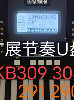 雅马哈kb309  kb308   kb290  kb291  s550电子琴节奏扩展包