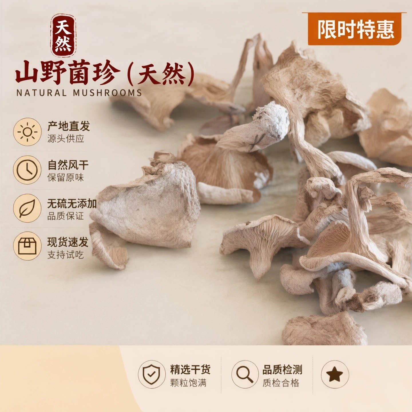 香水小白蘑野生坝上白蘑桦南扣蘑草原小白蘑五台山新品2026年包邮