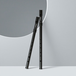 爱尔兰哨笛C调D调树脂锡笛六孔直笛初学者学生教学笛子高颜值笛子