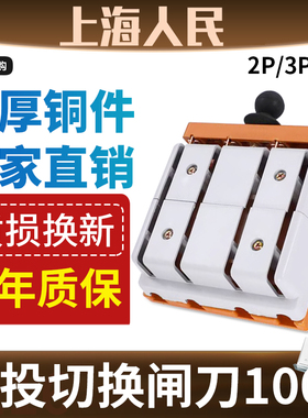 正品双投倒顺闸刀开关两相家用电源切换刀闸100A电动车转换电闸
