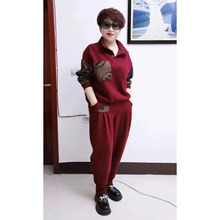 运动套装女2025春中老年妈妈装减龄休闲拼色大码立领卫衣+哈伦裤