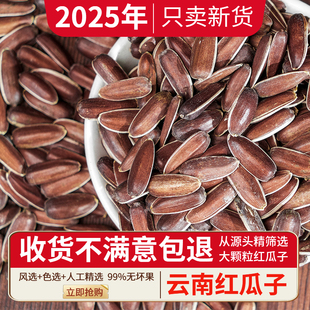 25年云南红皮瓜子新货大颗粒生的原味水果甜葵花籽原味非种子干货