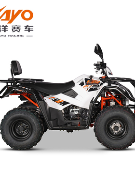 华洋赛车 AU300 全地形车越野沙滩车 电启动非道路场地用车