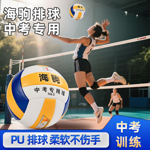 免费刻姓名班级中考指定排球