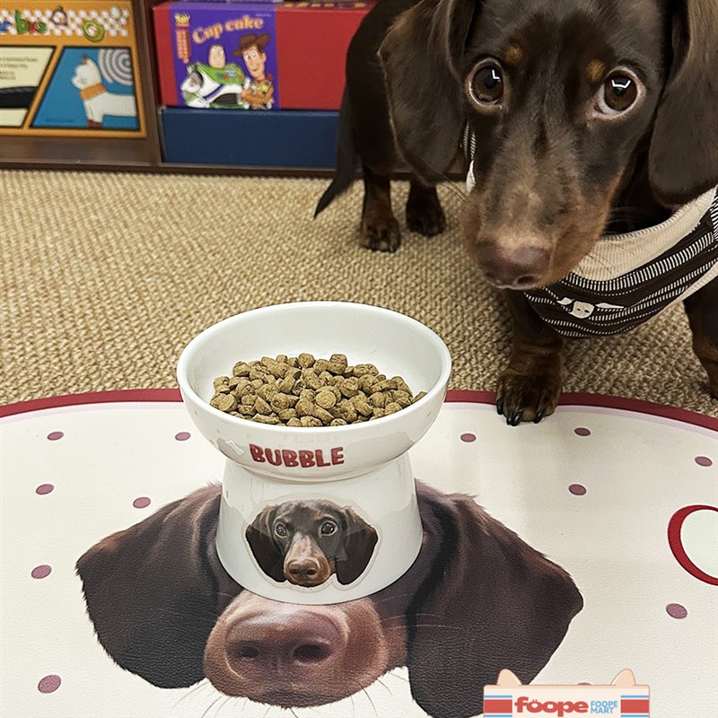 食品原宠物定制周边陶瓷碗食品碗颈部保护高猫碗宠物生日聚会礼物