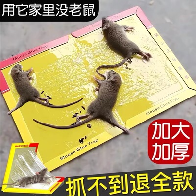 大号隐形老鼠毯专抓狡猾粘老鼠胶强力灭鼠魔毯粘鼠板灭鼠神器家用