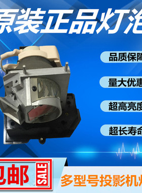 ACER宏碁P5271/P5271i/P5271n投影仪机灯泡原装带架EC.J8700.001