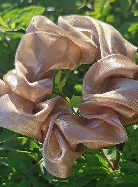 【深棕色】小号复古法式大肠珠光发圈高级感春夏ColorHunt绳气质